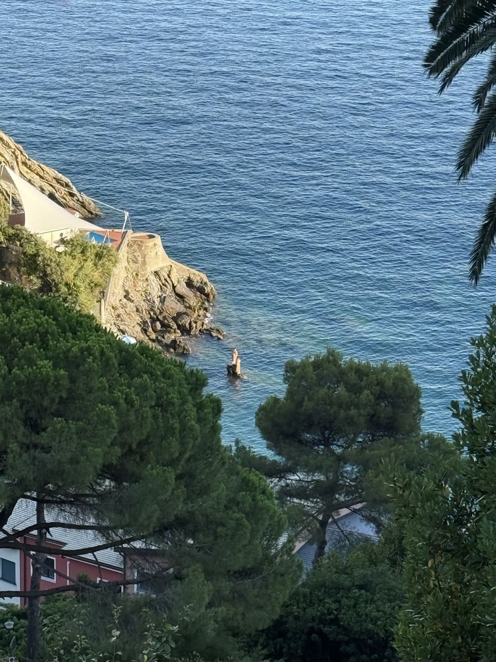 Il mare visto dall’alto tra i pini